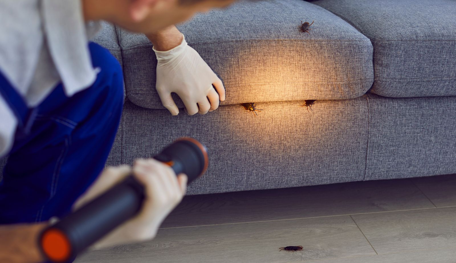 A pest control website featuring customer reviews and testimonials, helping build trust and credibility.